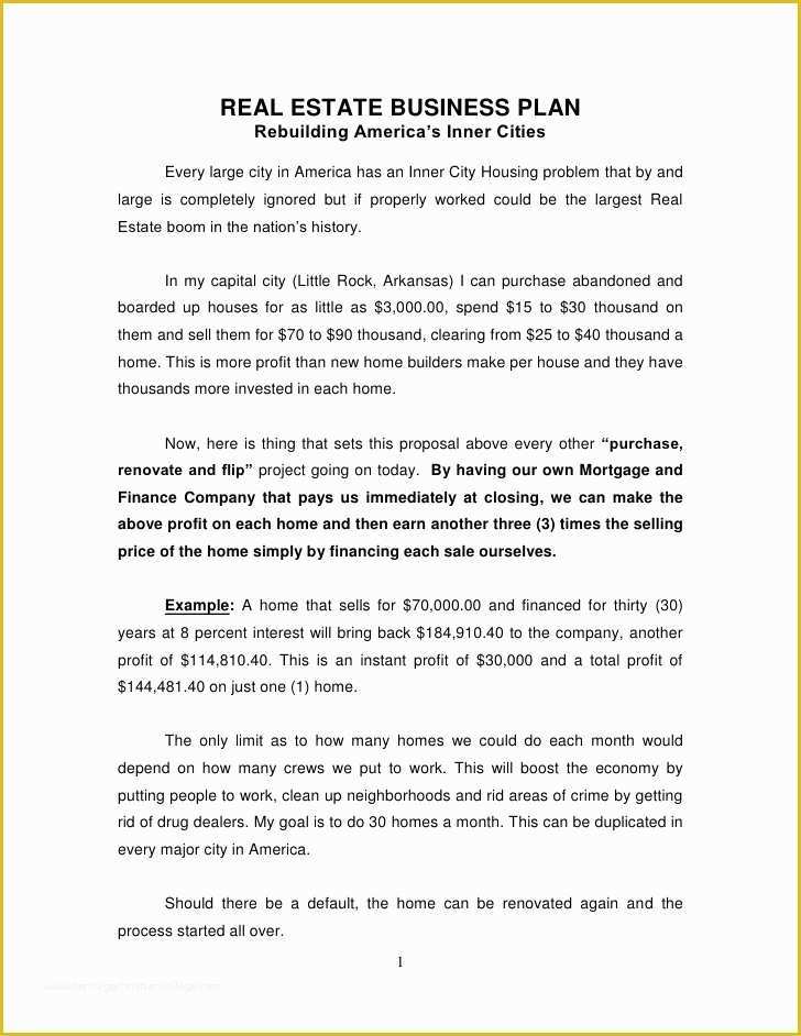 Free Real Estate Business Plan Template Word Of Real Estate Business Plan