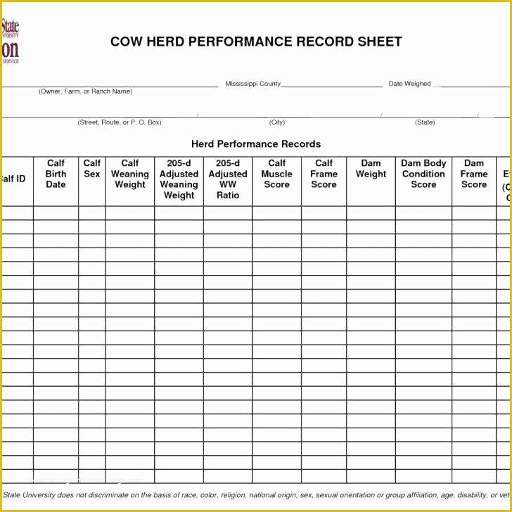 Free Record Keeping Templates Of Cattle Herd Management Spreadsheet Poultry Record Keeping