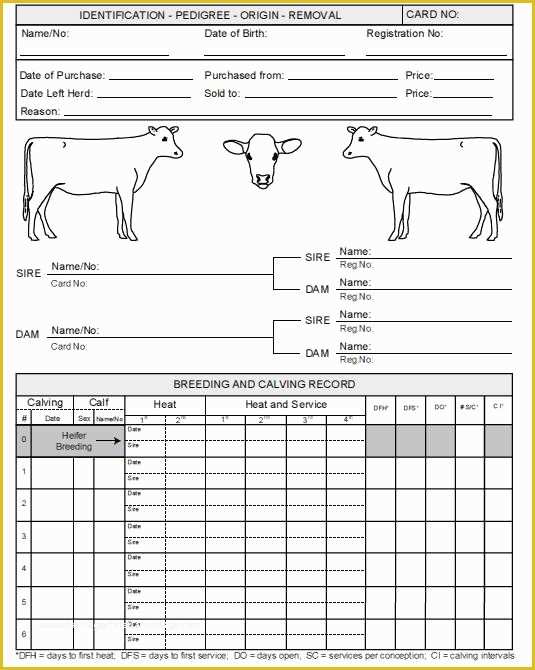 Free Record Keeping Templates Of Keeping A Record Of Every Cattle that Has Every Been at