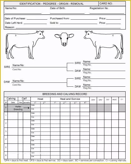 Free Record Keeping Templates Of Keeping A Record Of Every Cattle that Has Every Been at