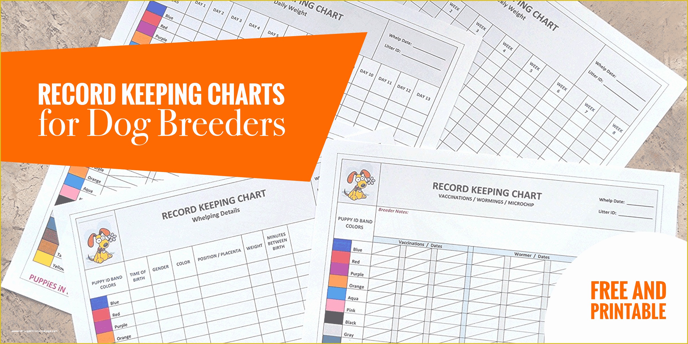 Free Record Keeping Templates Of Record Keeping Charts for Breeders — Free Printable Puppy