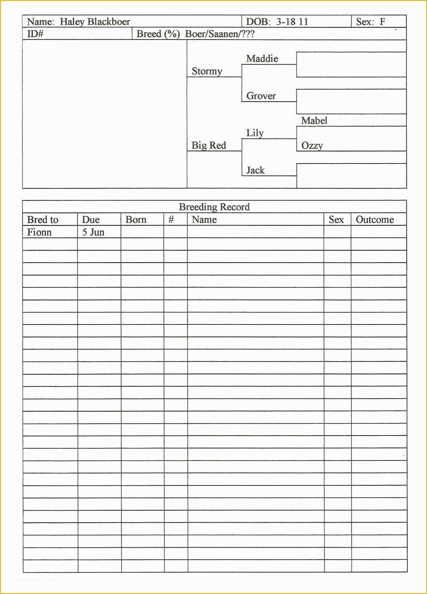 Free Record Keeping Templates Of Record Keeping for Goats