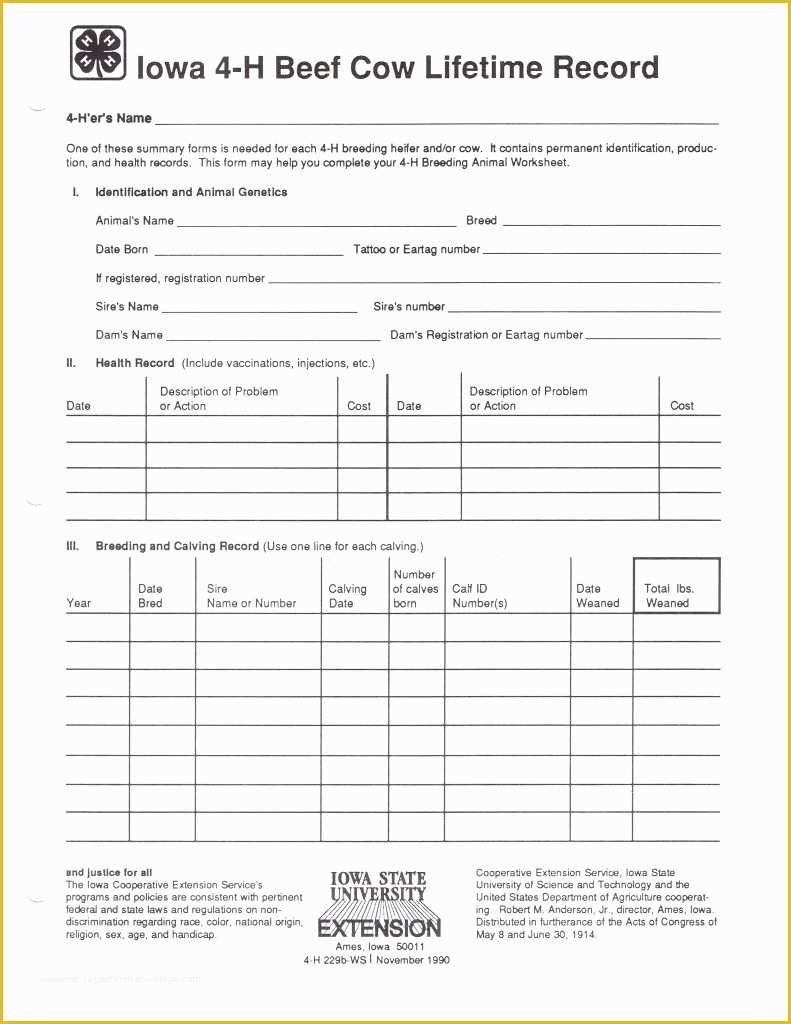 Free Record Keeping Templates Of Record Keeping Template for Small Business Spreadsheet
