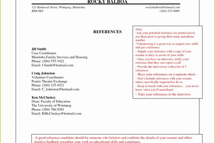 Free Reference Template Of Professional Reference Template