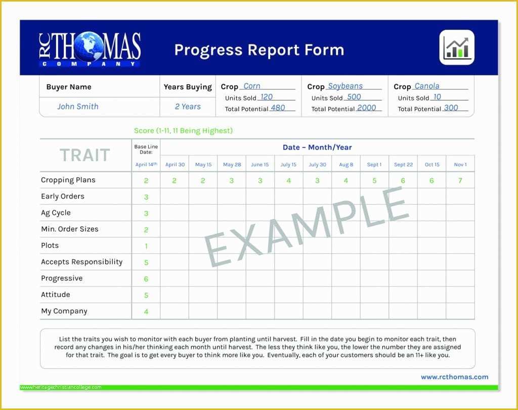 Free Report Templates Of top 5 Free Progress Report Templates Word Templates