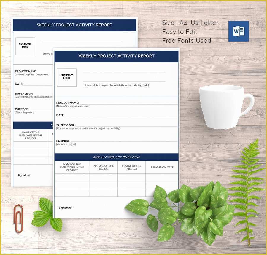 Free Report Templates Of Weekly Activity Report Template 30 Free Word Excel