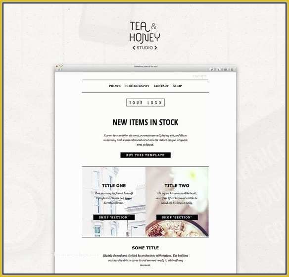 Free Responsive Mailchimp Templates Of Mailchimp Responsive Email Templates Free Download