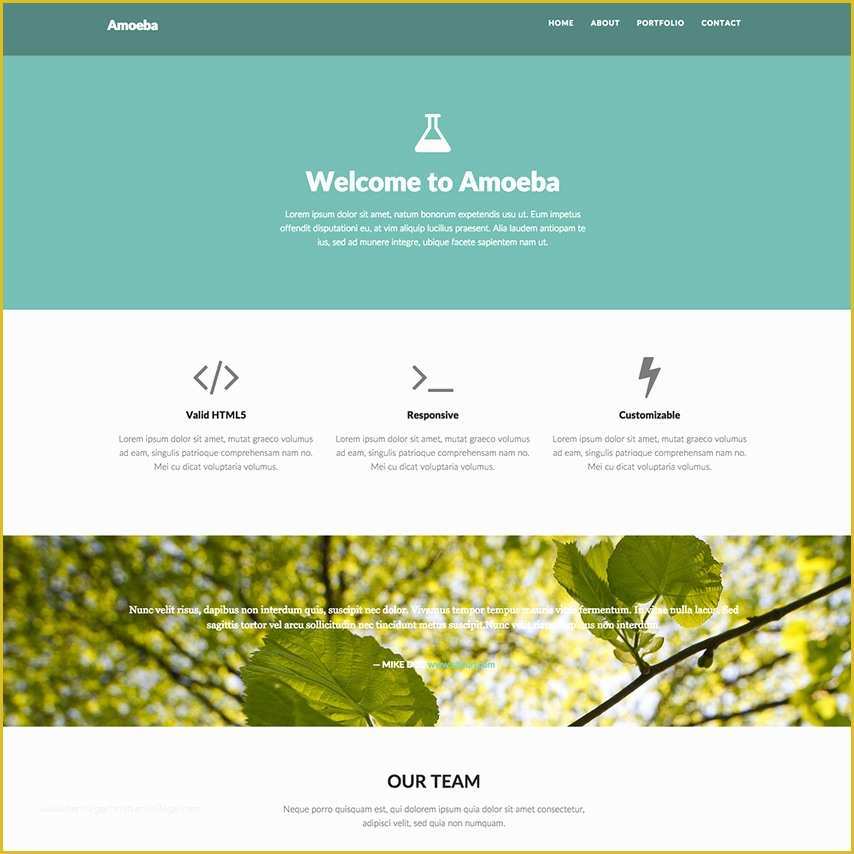 Free Responsive Web Templates Of Amoeba Free Bootstrap Responsive Website Template