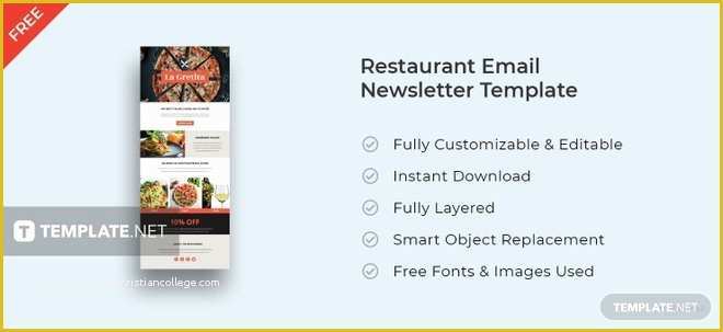 Free Restaurant Newsletter Templates Of Free Restaurant Email Newsletter Template