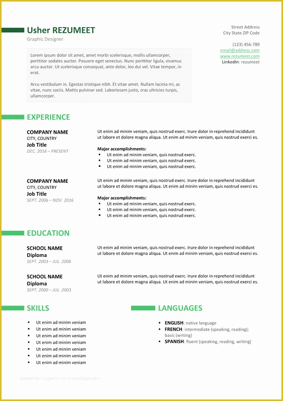 Free Resume Outline Template Of Ueno Professional Resume Template