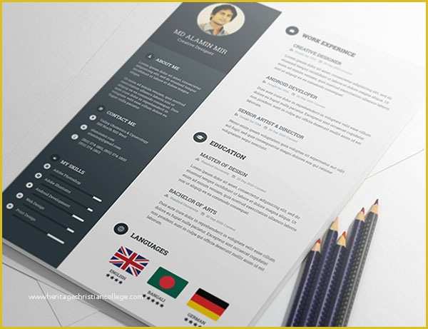 Free Resume Template Psd Of Cv Templates Adobe Illustrator Free Resume Examples Cv