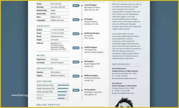 Free Resume Template with Photo Insert Of Ten top Risks Free Resume Template
