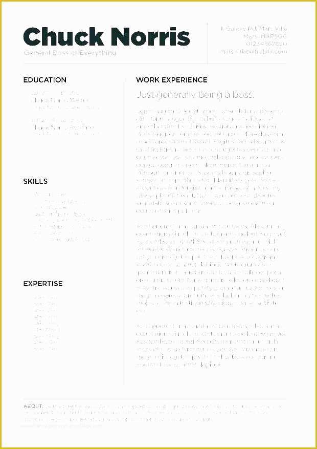 Free Resume Templates for Apple Pages Of 9 Cv Template Mac Pages