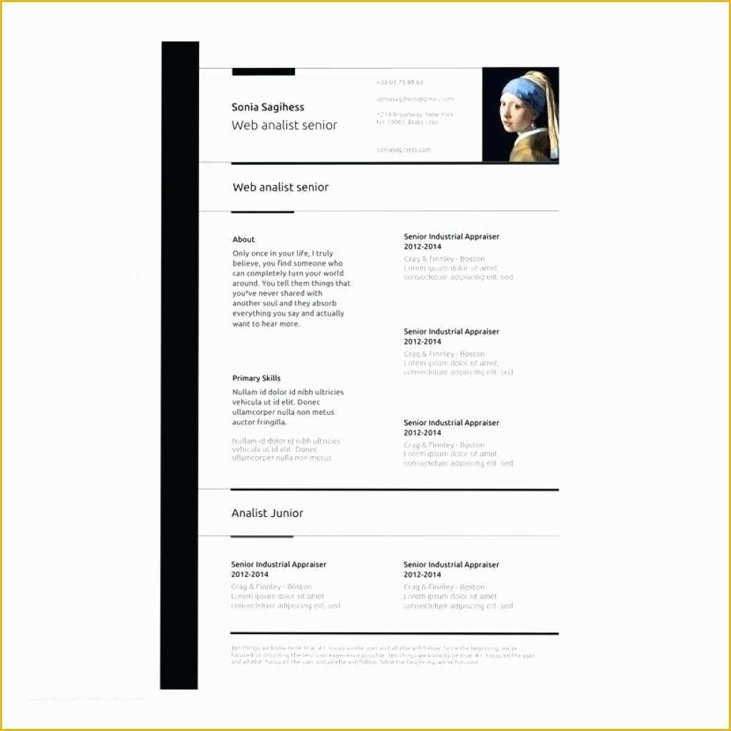  Free Resume Templates For Macbook Pro Of Free Resume Templates For 