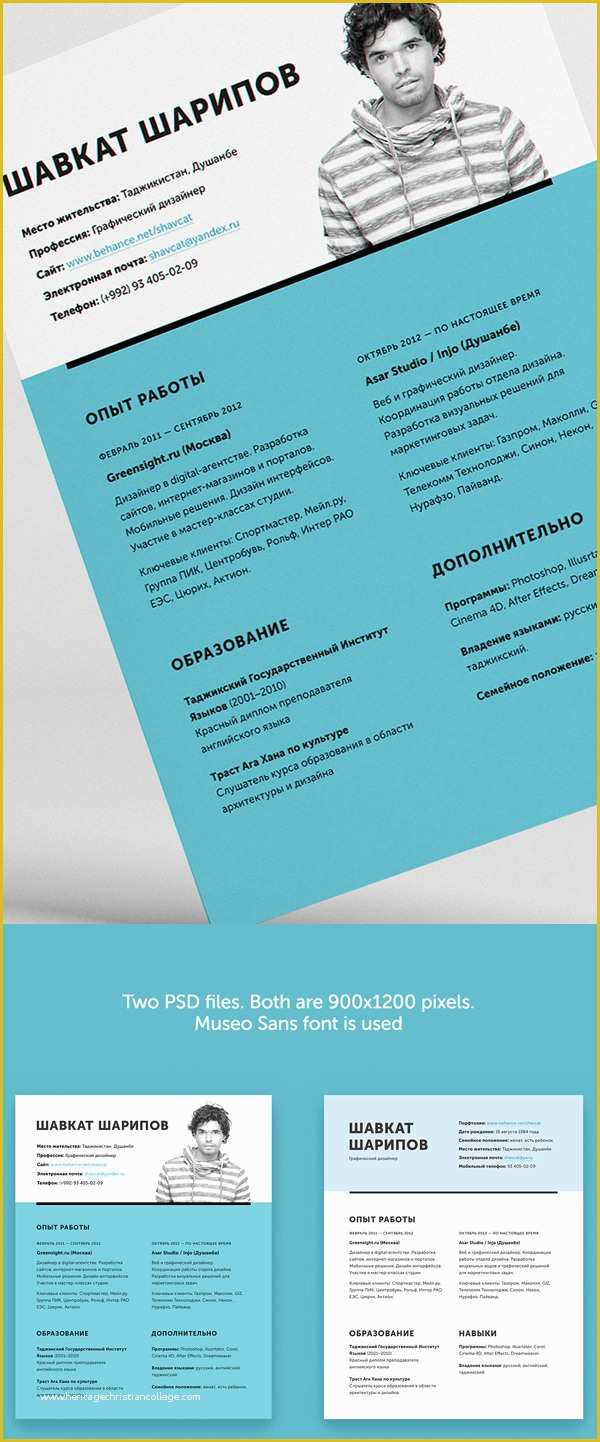 Free Resume Templates for Pages Of Free Professional Cv Resume and Cover Letter Psd Templates