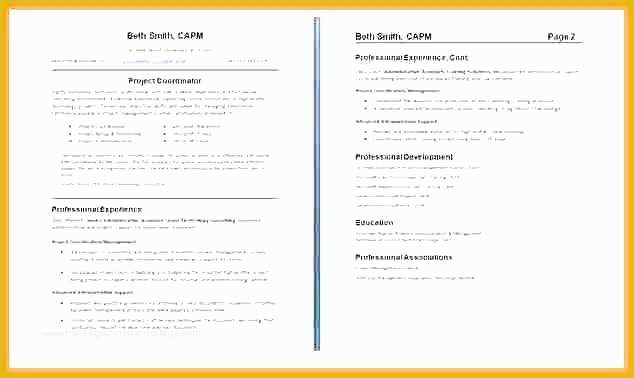 Free Resume Templates for Pages Of Free Simple E Page Resume Template Best Creative