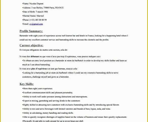 Free Resume Templates Pdf Of 8 Bartender Resume Templates Download for Free