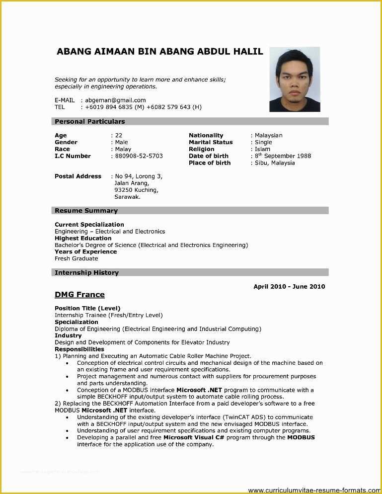 Free Resume Templates Pdf Of Professional Resume format Download Pdf