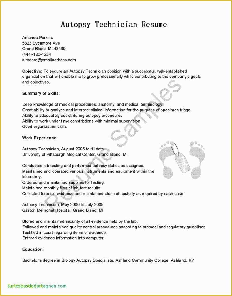 Free Resume Templates that are Actually Free Of Free Elegant Resume Template Microsoft Word Beautiful â 48