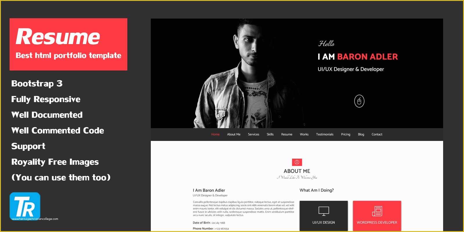 Free Resume Templates Websites Of Resume Personal Portfolio Web Template