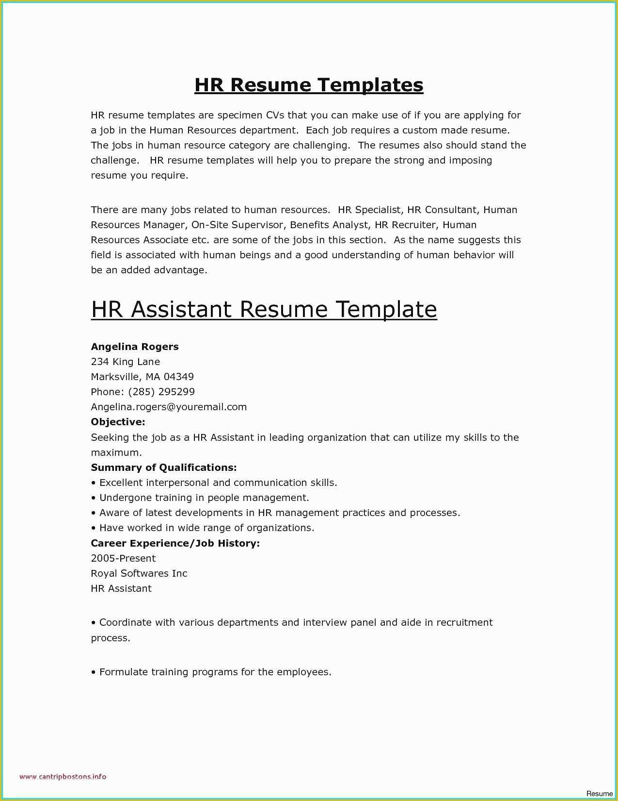 Free Resume Wizard Templates Of Microsoft Templates Resume Wizard theailene