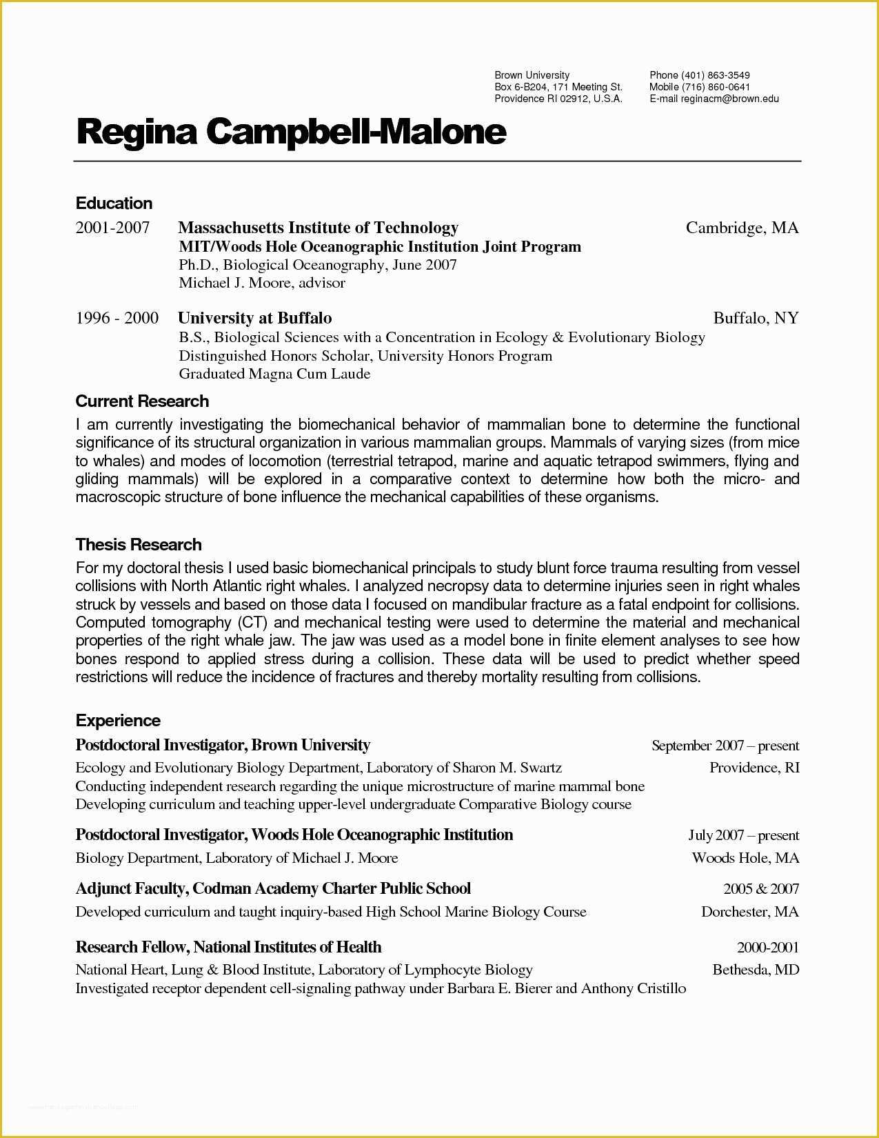 Free Resume Wizard Templates Of Resume Wizard Talktomartyb