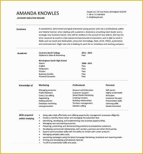Free Resume Word Templates 2017 Of Executive Resume Template Free Executive Resume Templates