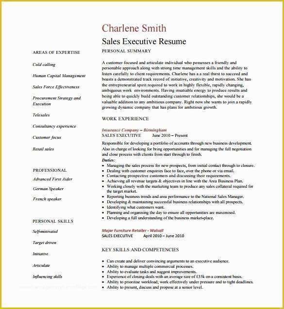 Free Sales Manager Resume Templates Of Executive Resume Template 14 Free Word Excel Pdf