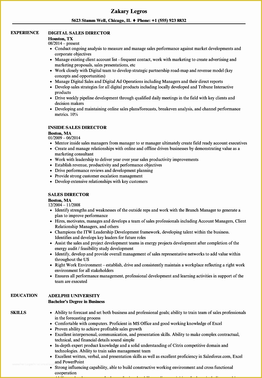 Free Sales Manager Resume Templates Of Sales Director Resume Samples
