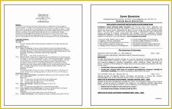 Free Sales Manager Resume Templates Of Sales Executive Resume Example