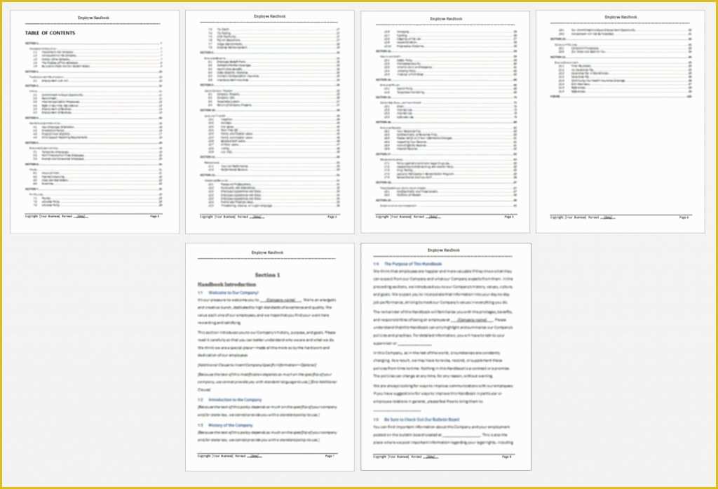 Free Salon Employee Handbook Template Of Sample Employee Handbook Table Of Contents