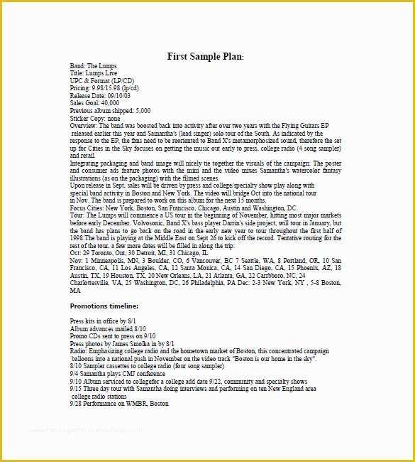 Free Sample Marketing Plan Template Of Music Marketing Plan Template – 10 Free Sample Example