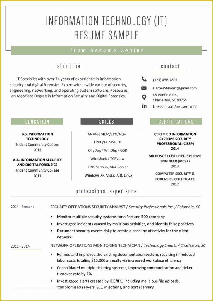 Free Sample Professional Resume Template Of Free Professional Resume Examples for Kids Tag 40