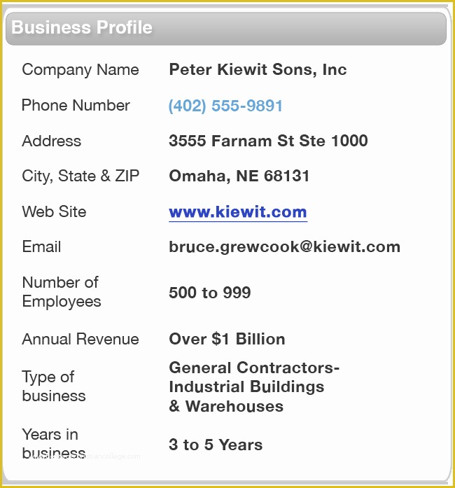 Free Security Company Profile Template Of Business Profile Example F Resume