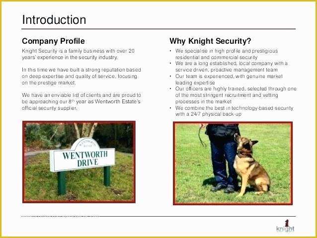 Free Security Company Profile Template Of Security Contract Templates Doc Free Premium Pany