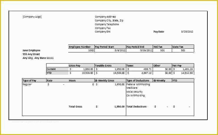 Free Self Employed Pay Stub Template Of 12 Free Self Employed Pay Stub Template