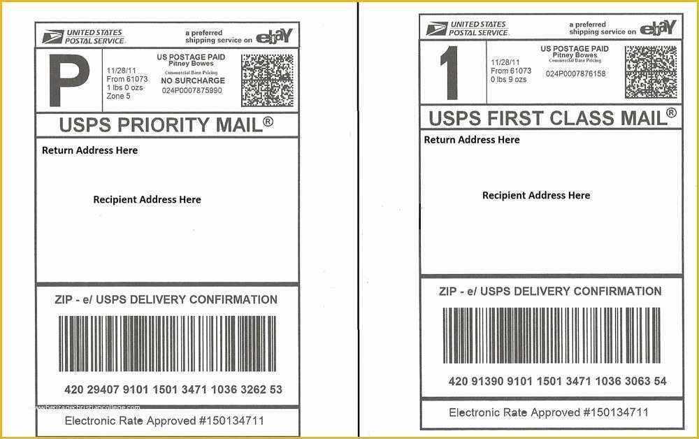 Free Shipping Label Template Of 50 Self Adhesive Shipping Labels Laser 