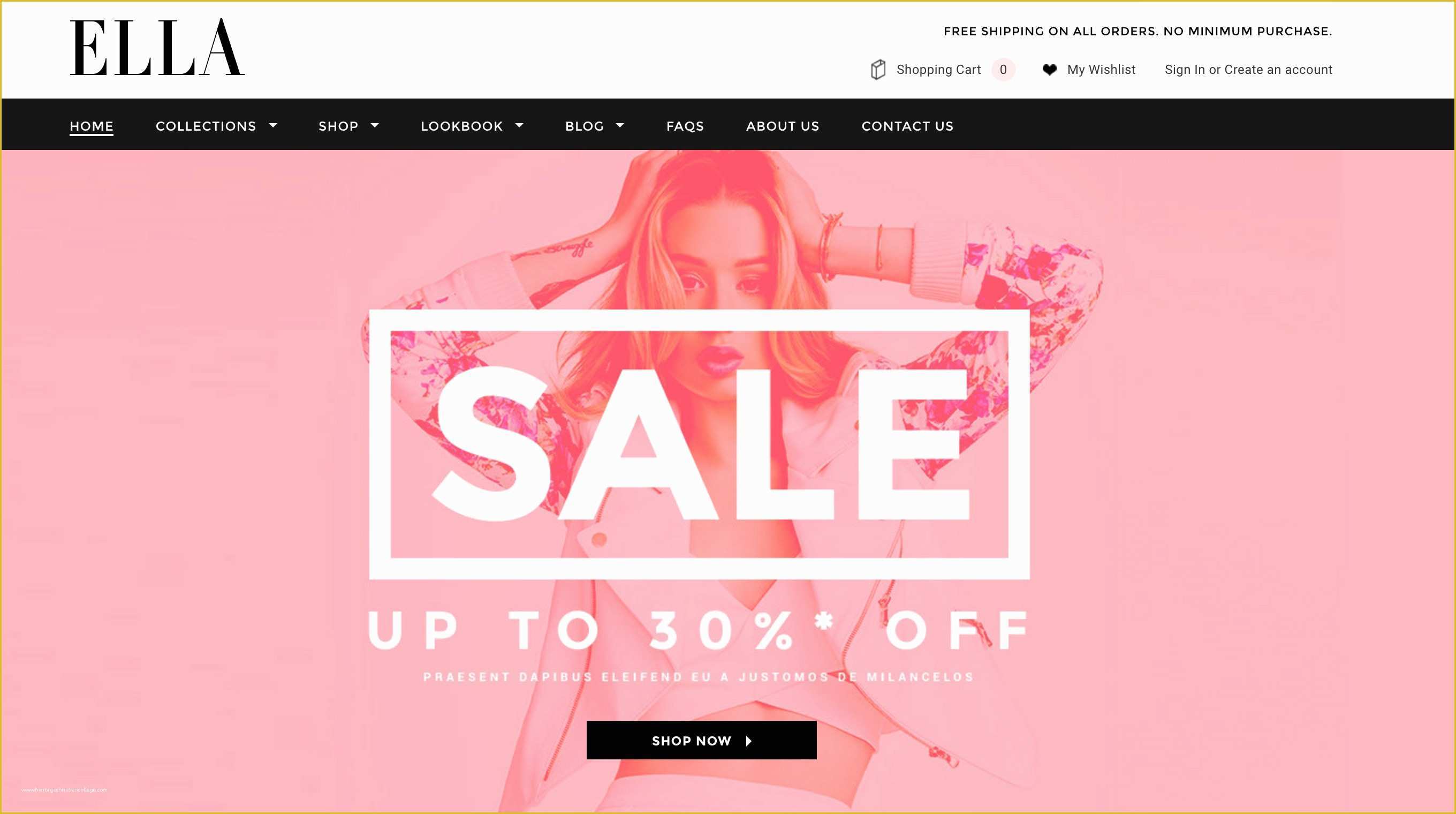 Free Shopify Templates Of 59 Premium Shopify themes to Make Your Line Store Pop