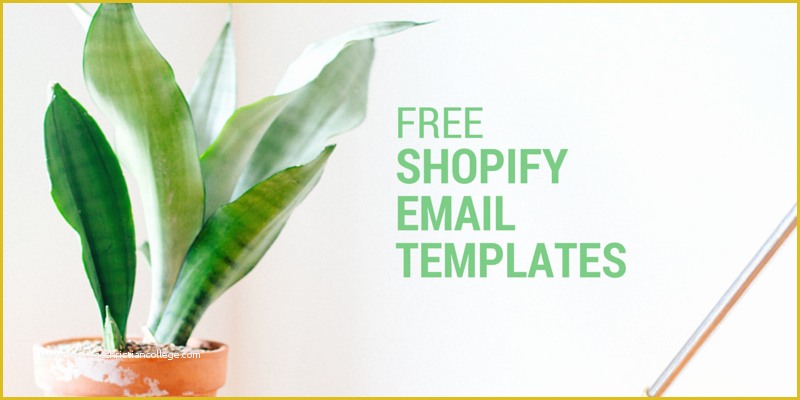 Free Shopify Templates Of 6 Free Custom Shopify Email Templates