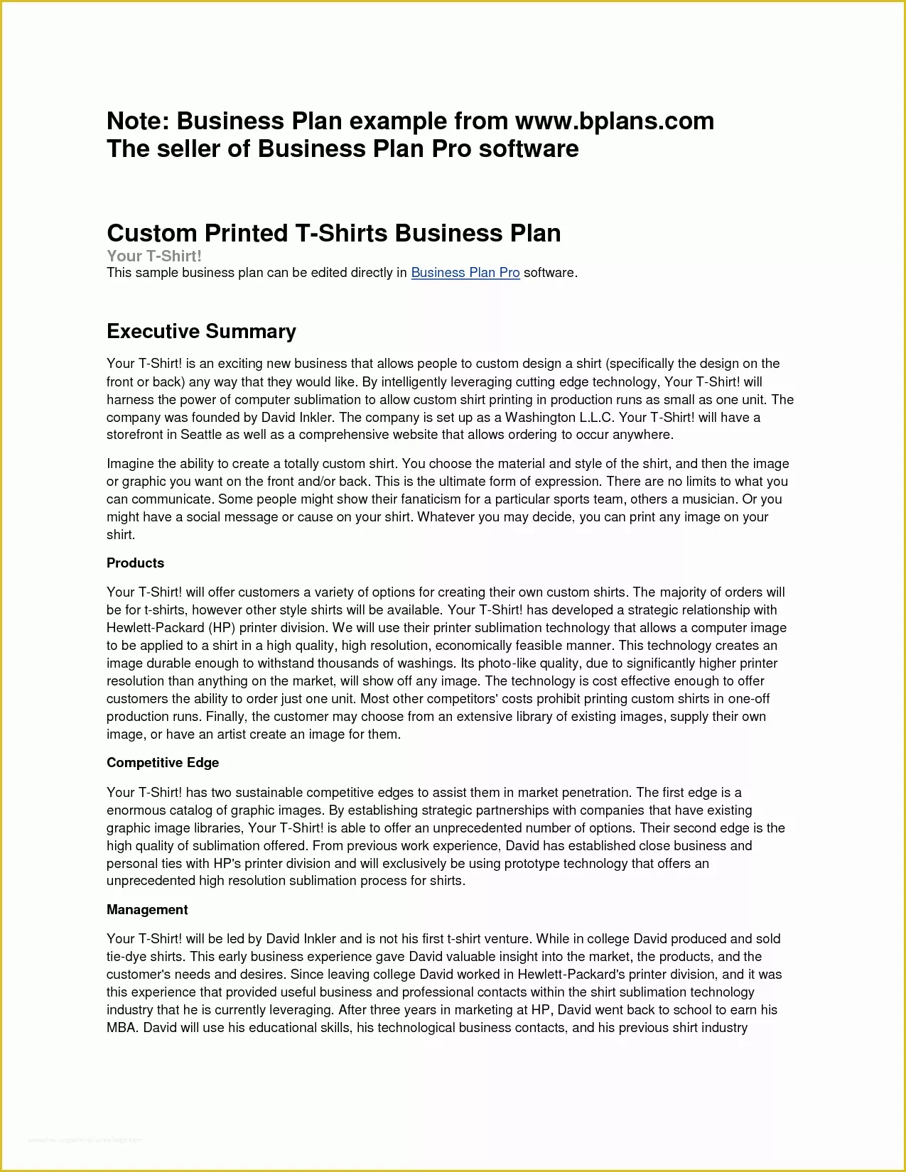 small enterprise business plan pdf