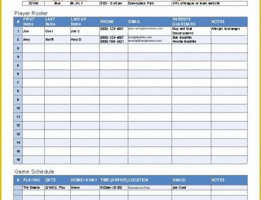 Free soccer Team Photo Templates Of soccer Roster Template for Excel