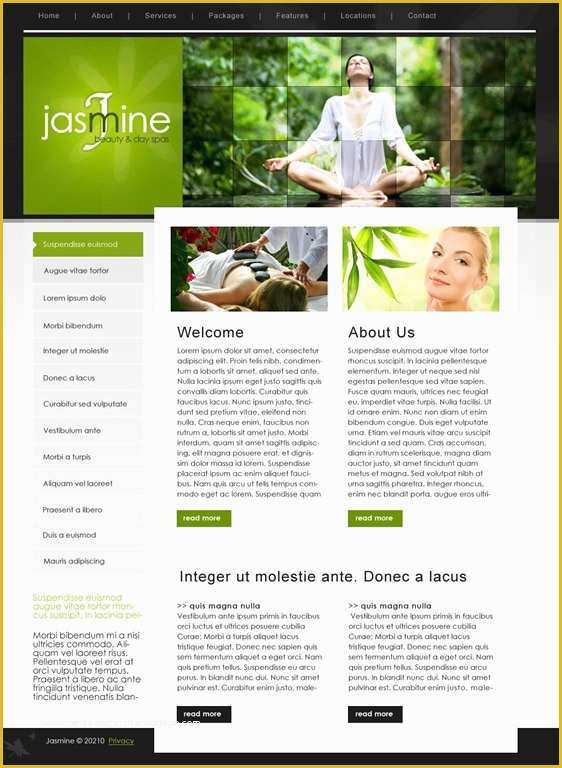 Free Spa Website Templates Of 50 Beautiful Free and Premium Psd Website Templates and