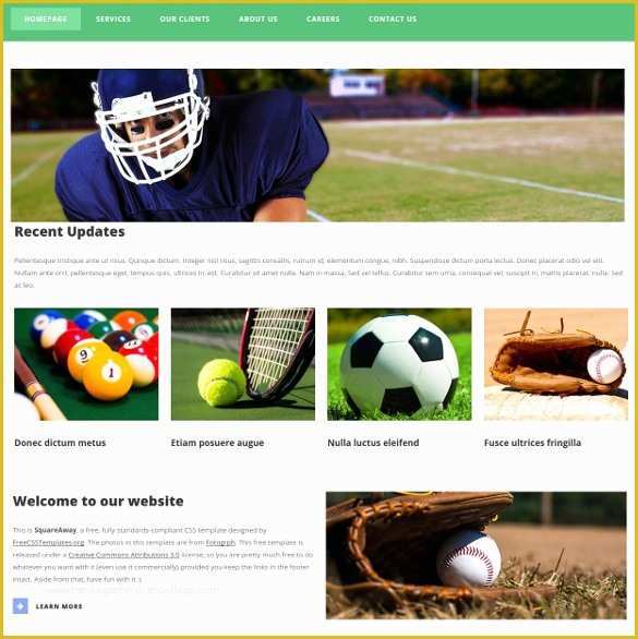 Free Sports Web Templates Of 43 Sports Website themes &amp; Templates