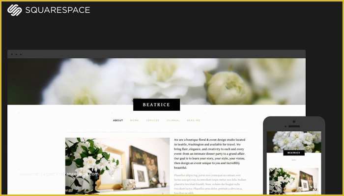 Free Squarespace Templates Of 5 Good Squarespace E Merce Templates