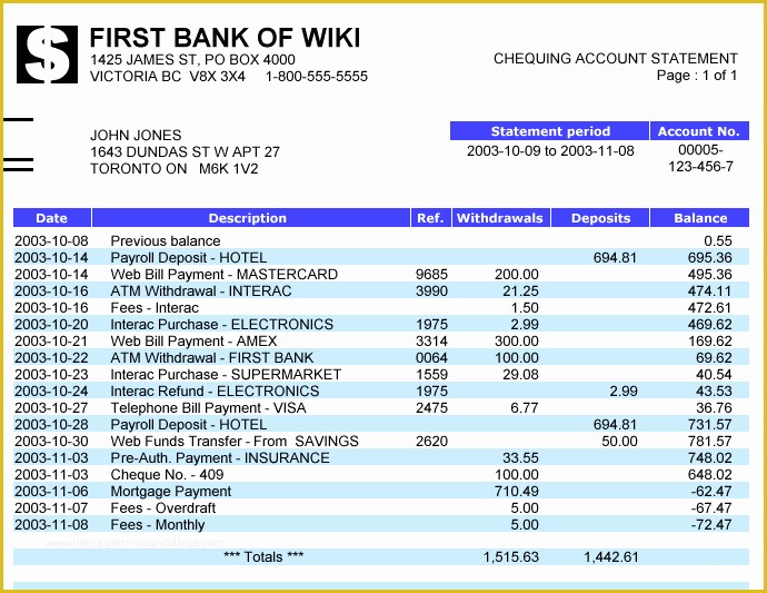 Free Statement Of Account Template Of Bank Statement