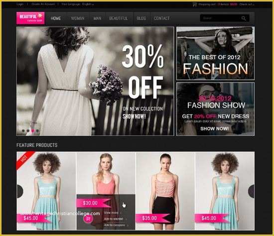 Free Store Website Templates Of 33 Free and Premium HTML Css E Merce Website Templates