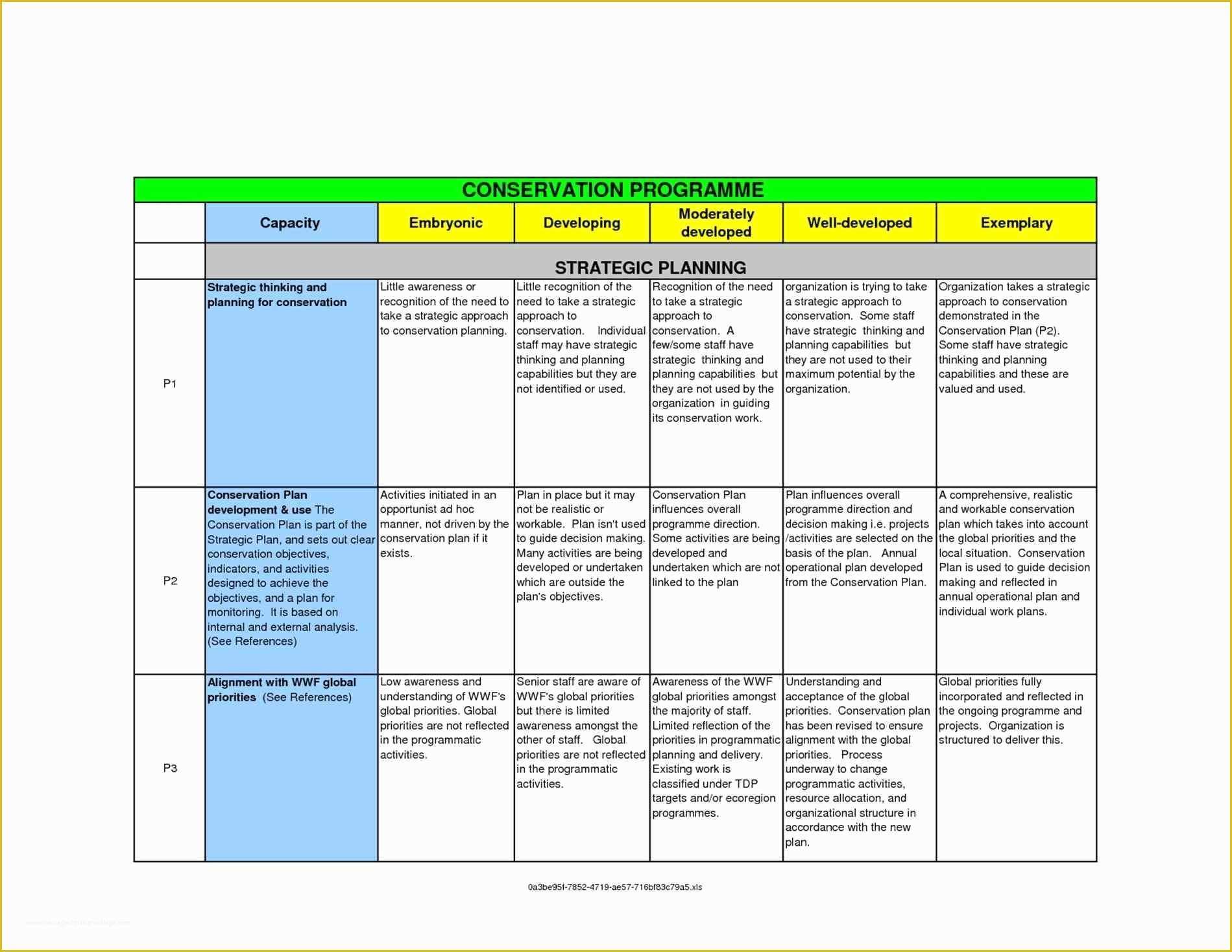 Free Strategic Plan Template Of Munication Strategy Template Beepmunk