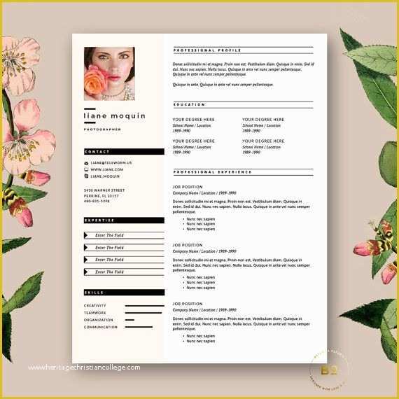 Free Stylish Resume Templates Of Stylish Resume Template