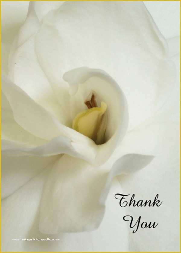 Free Sympathy Thank You Card Templates Of 11 Sympathy Thank You Card Designs &amp; Templates Psd