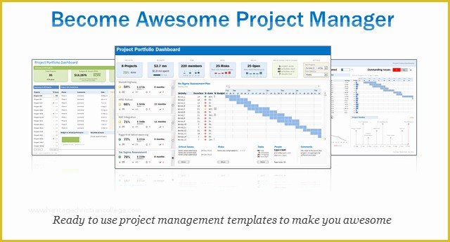 Free Task Management Templates Of Excel Project &amp; Portfolio Management Templates Download